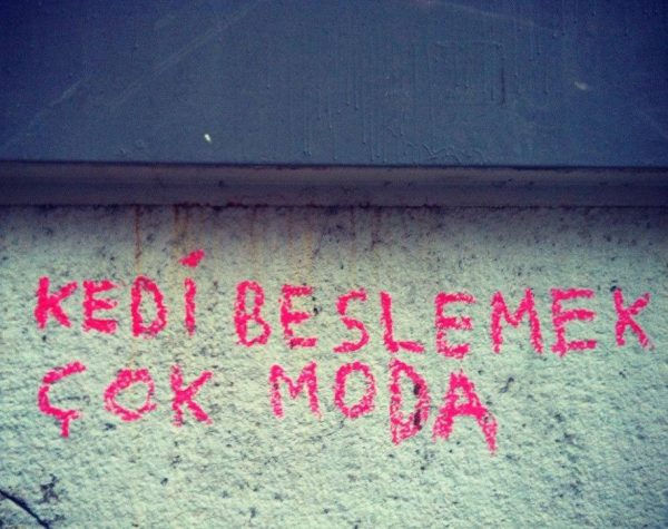 kedili_duvar_yazisi (9)