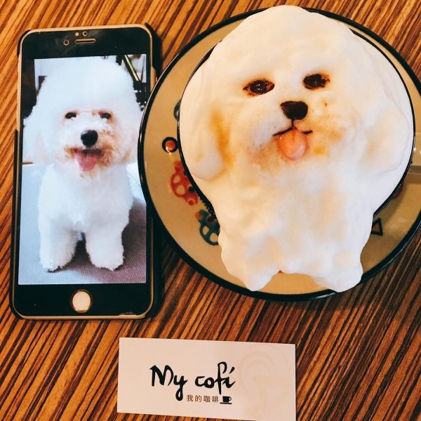 latte_art (19)
