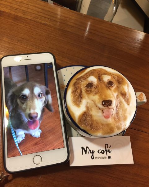 latte_art (4)