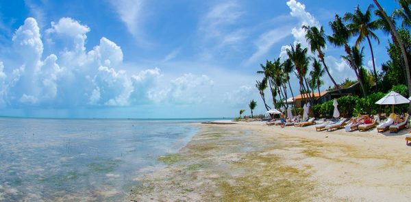 9-florida1