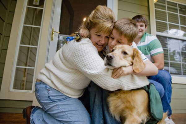 Bebek Suratli Golden Retriever Kopekleri Hakkinda Bilmeniz Gereken 14 Gercek Listelist Com