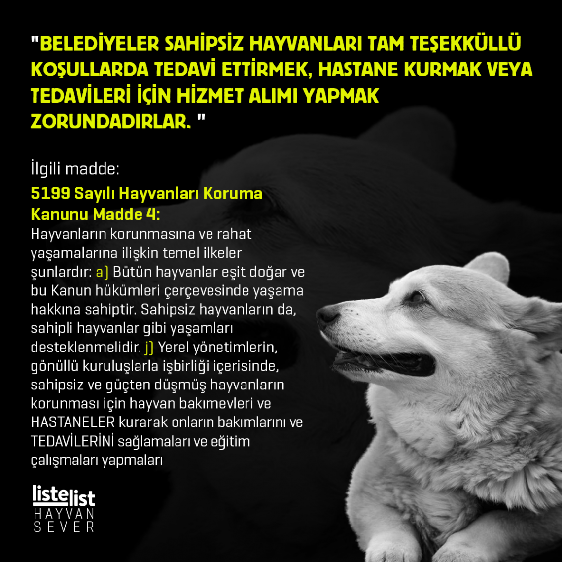 Hayvanları KoruyaMAyan 5199 Sayılı Kanundan Lehimize Çevirebileceğimiz ...