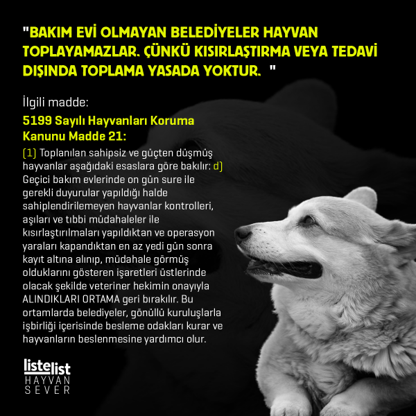 hayvan_haklari (5)