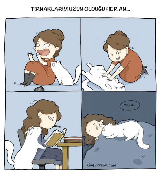 kedili_hayat (6)