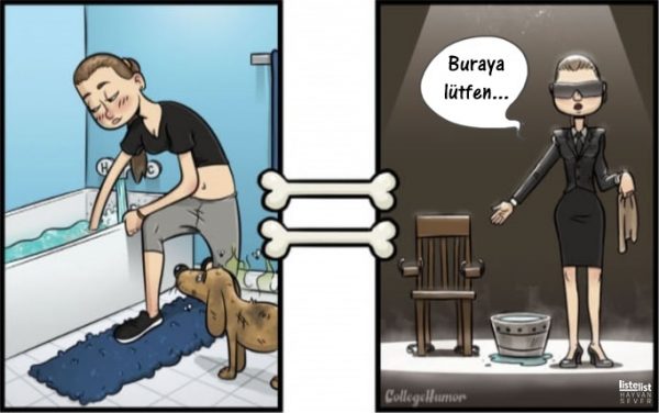 kopeklerin_gozunden2