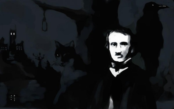poe-kedi-600x375