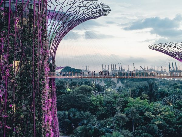 17-singapur