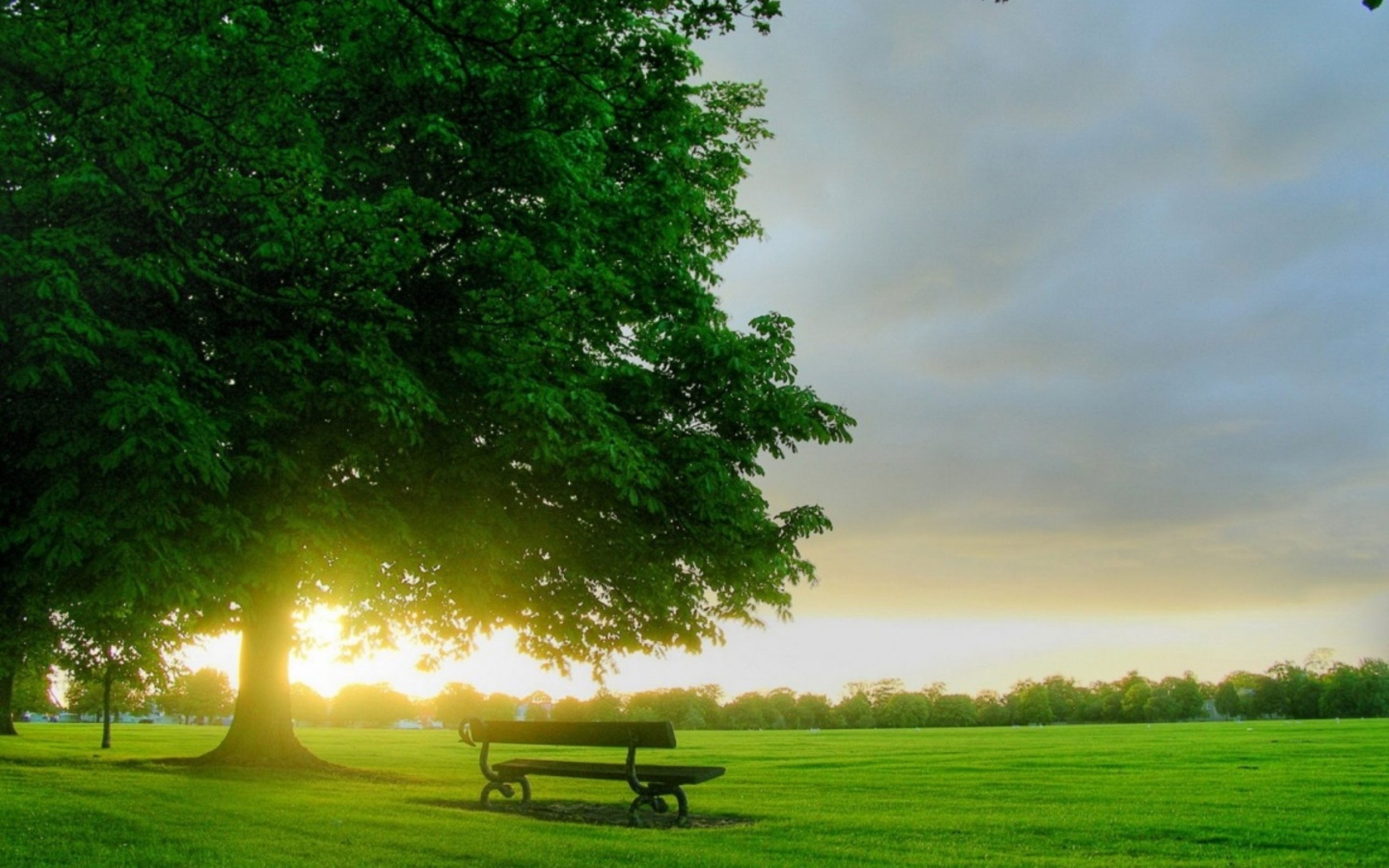 Spring-Nature-Wallpaper-13