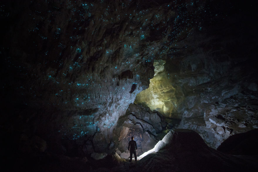 Hollow-Hill-Cave-Glowworms-SJP-15-5a332a8e160a3__880