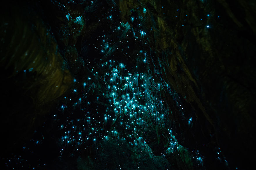 Northland-Caves-Glowworms-SJP-12-5a332aab7102c__880
