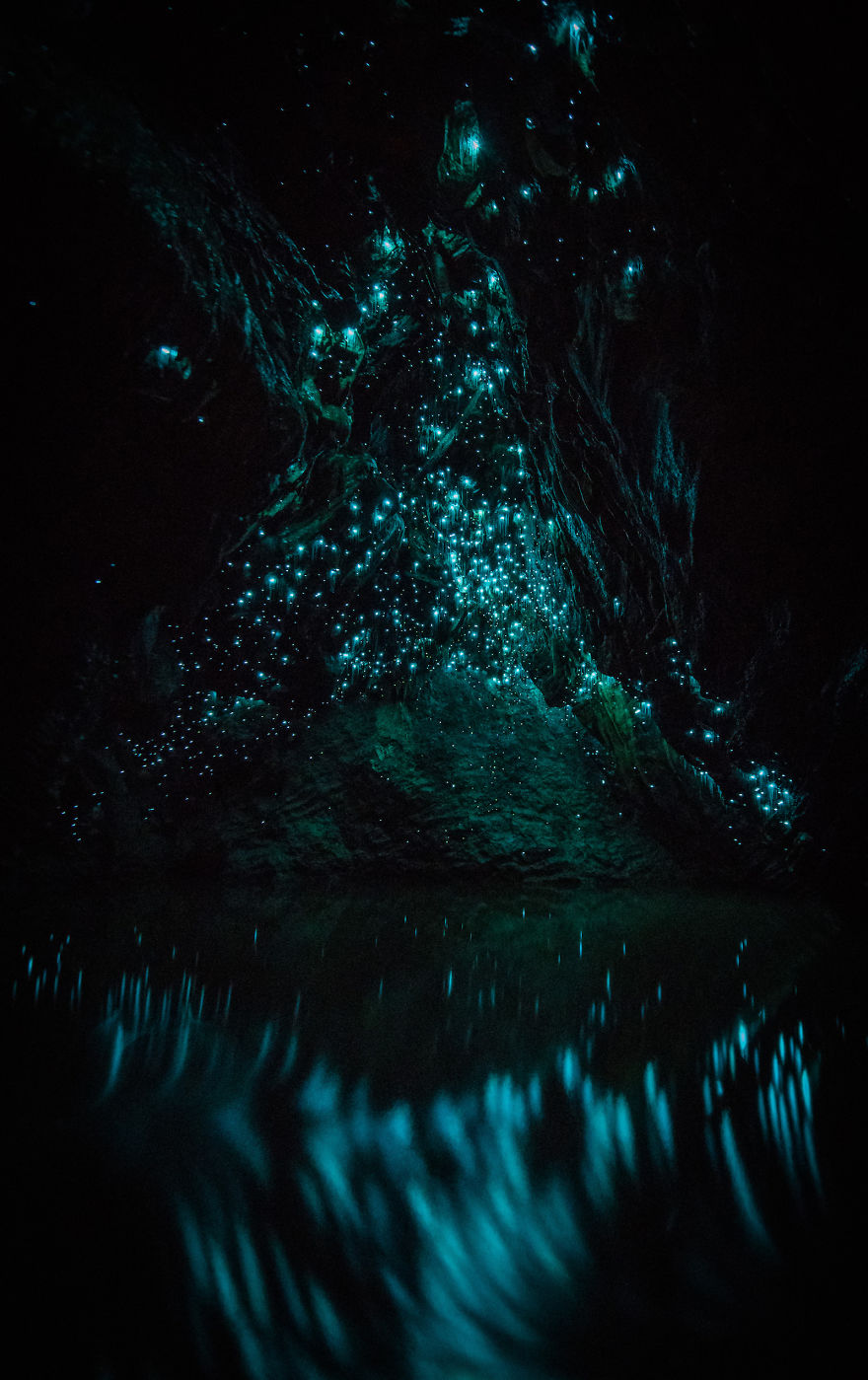 Northland-Caves-Glowworms-SJP-17-5a332ab030620__880