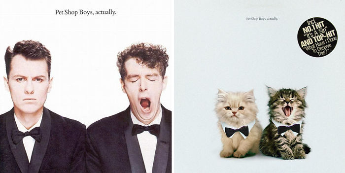 This-guy-created-very-cute-covers-of-the-music-world-replacing-singers-with-cats-5a2e625b29453__700