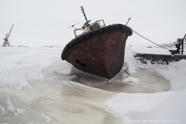 dikson-14