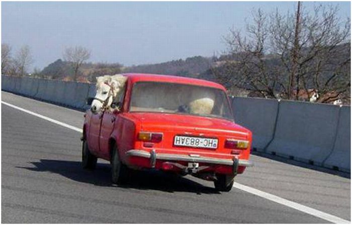 hilarious_ways_of_transportation_07