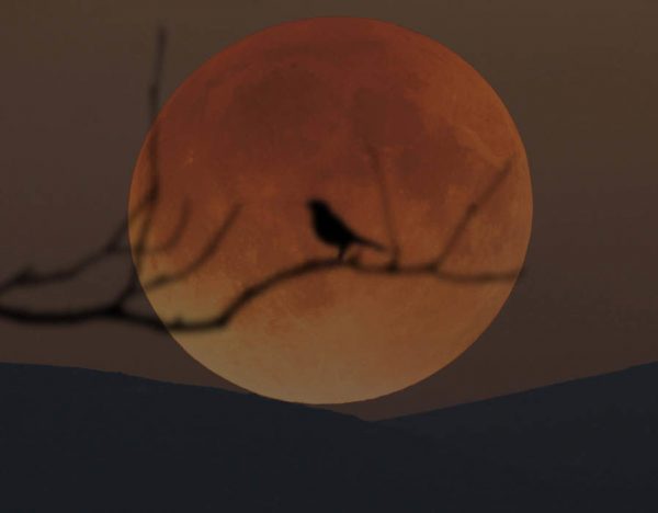 moon-21