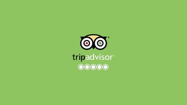 trip-advisor-wp-1920x1080