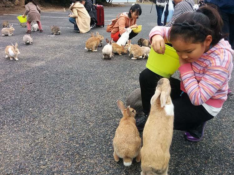 Dünyanın en ilginç adaları Okunoshima