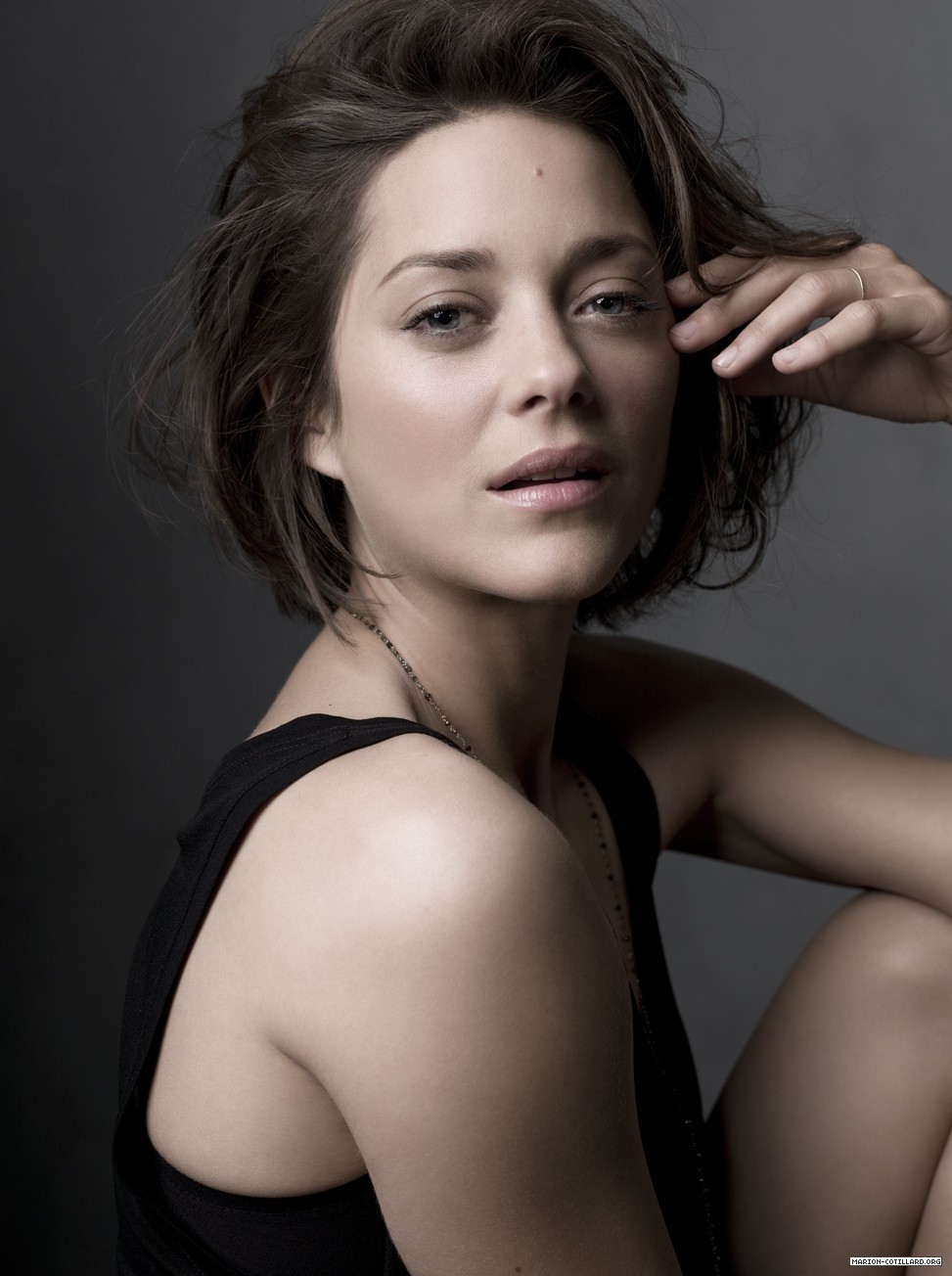 Marion Cotillard ve Brad Pitt: Bir romanın söylentileri 37