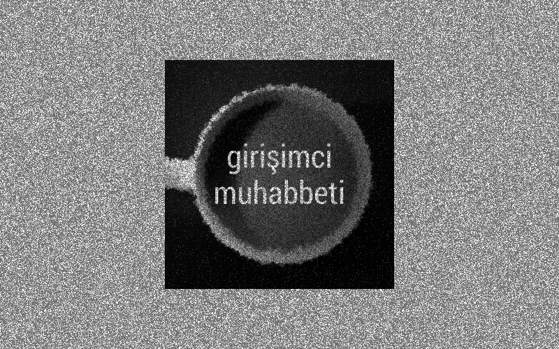 girsimci-muhabbeti.png