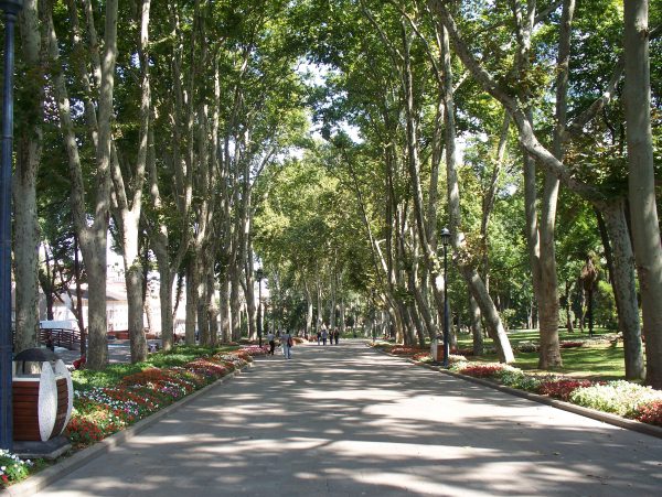 organize işler ize venüs masaj salonu alanya