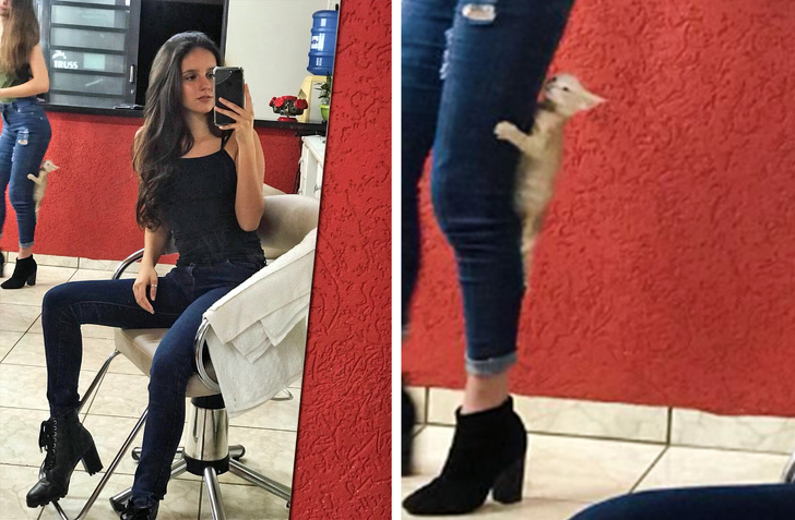 kedi.jpg