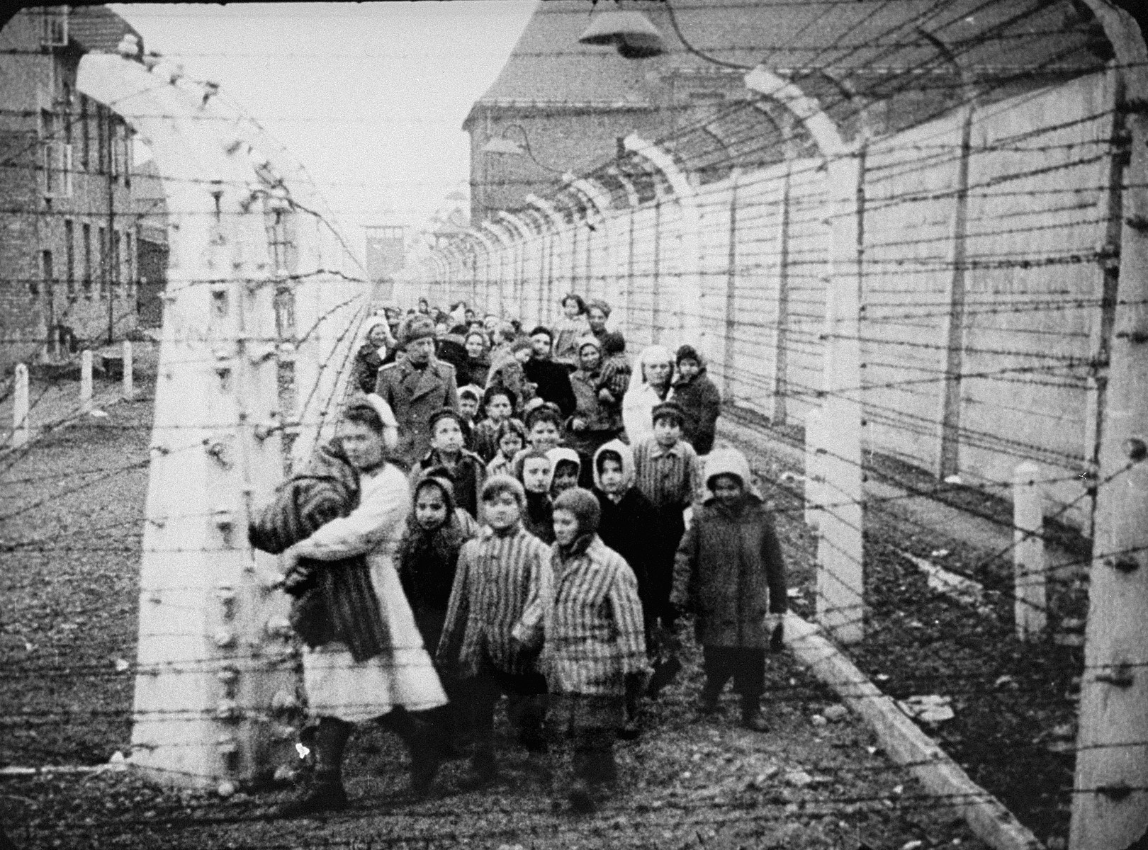 Советские концентрационные лагеря. Лагерь Освенцим в годы Великой Отечественной войны 1941-1945. Концентрационный лагерь Аушвиц-Биркенау Освенцим Польша. Лагерь Аушвиц-Биркенау в Освенциме. Лагерь Освенцим в Польше.