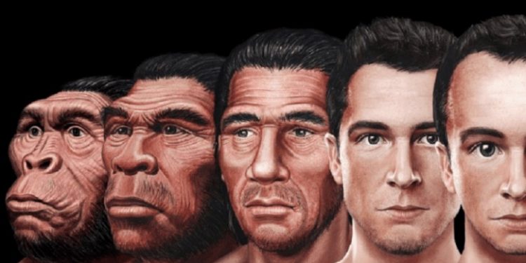 [Resim: Face-Evolution-750x375.jpg]