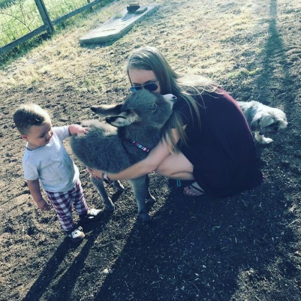 baby-donkey-girl-adopted-payton-dankworth-13-5ca6fe57cd6bc__700-600x600.jpg