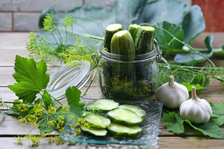 Turşu Suyu Nasıl Yapılır? Nefis Kıvamlı Turşu Suları İçin 10 Pratik Tüyo