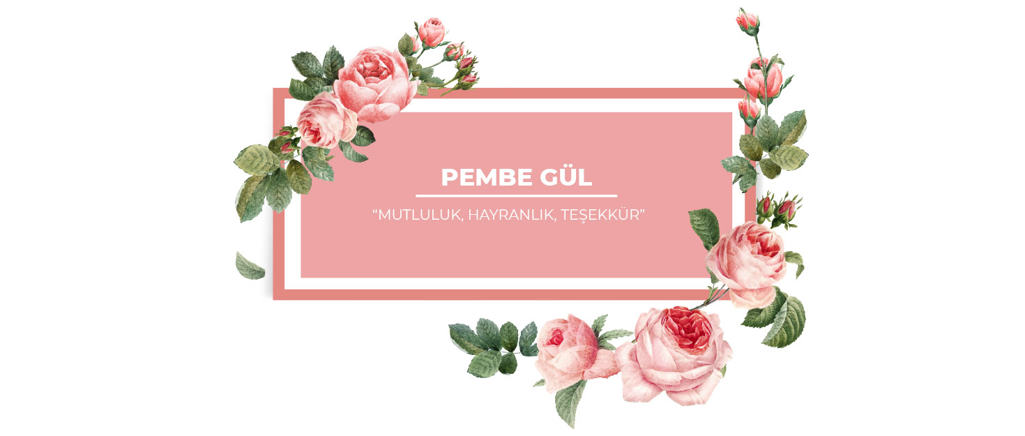 güllerin renkleri ve anlamları