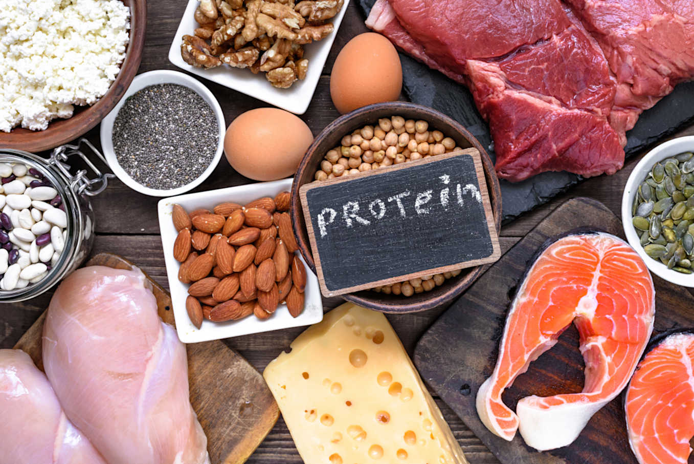 protein diyeti