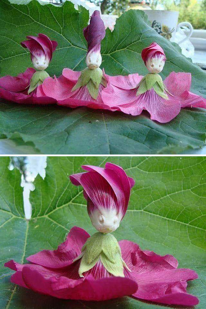pareidolia