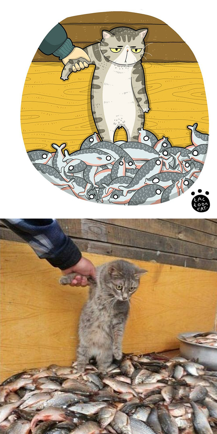 Tactooncat