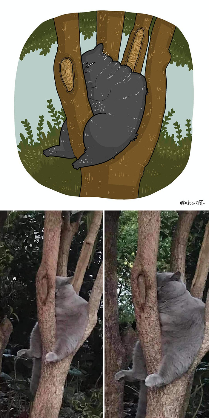 Tactooncat
