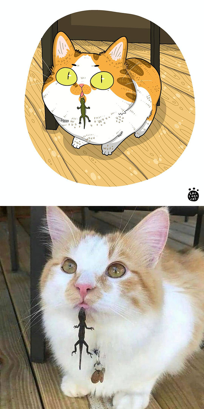 Tactooncat