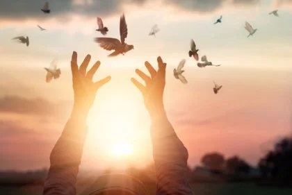 bütünsel sağlık wellness uygulamaları listelist