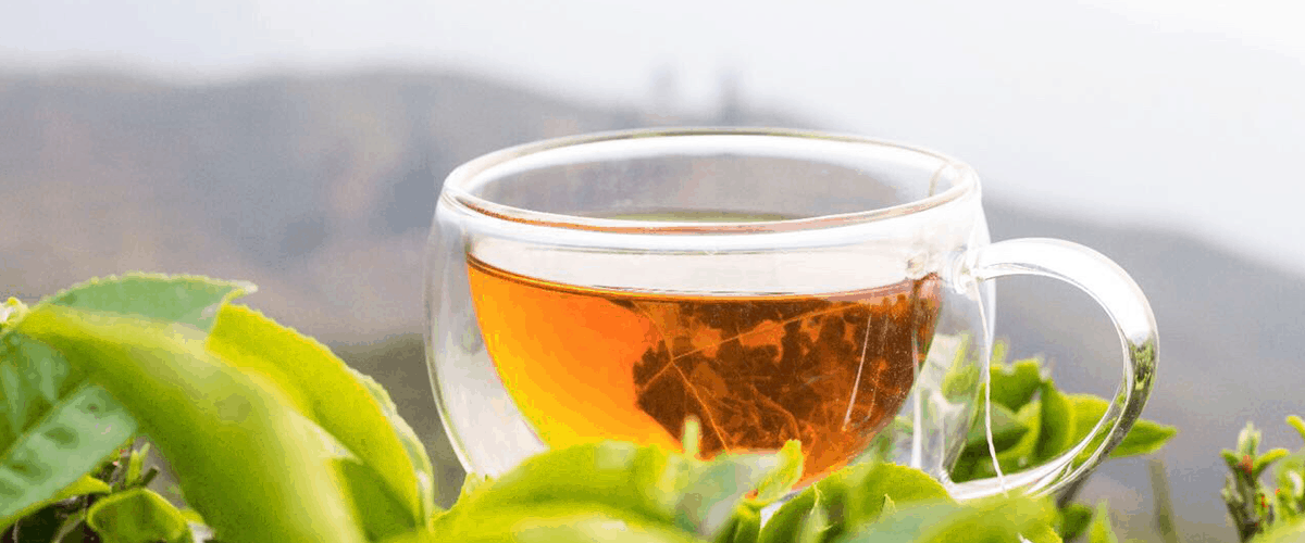 Darjeeling hindistan