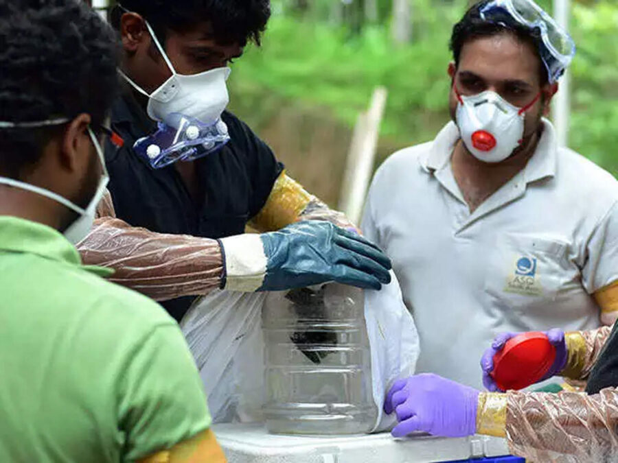 nipah virüsü
