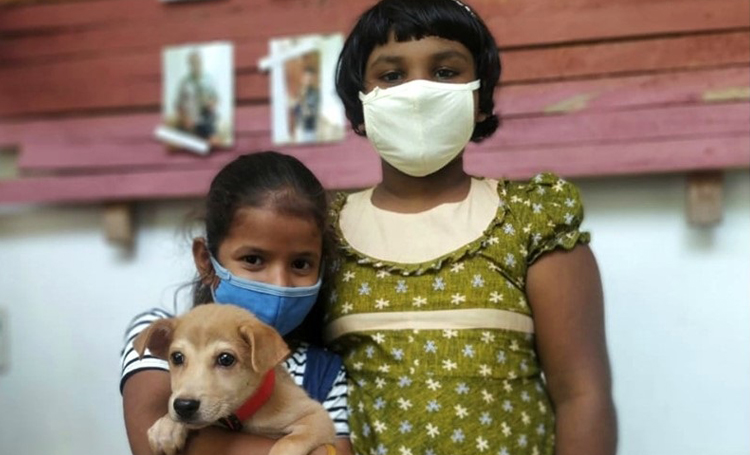 eğitim hayvansever sri lanka ingiltere wecare worldwide sokak köpeği listelist