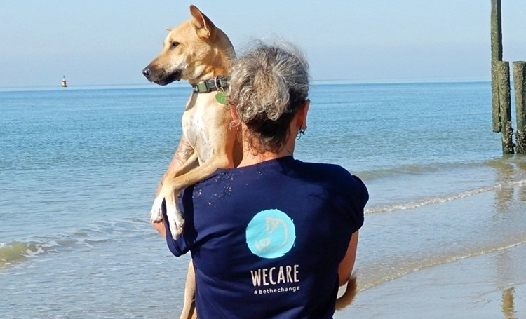hayvansever sri lanka ingiltere wecare worldwide sokak köpeği listelist