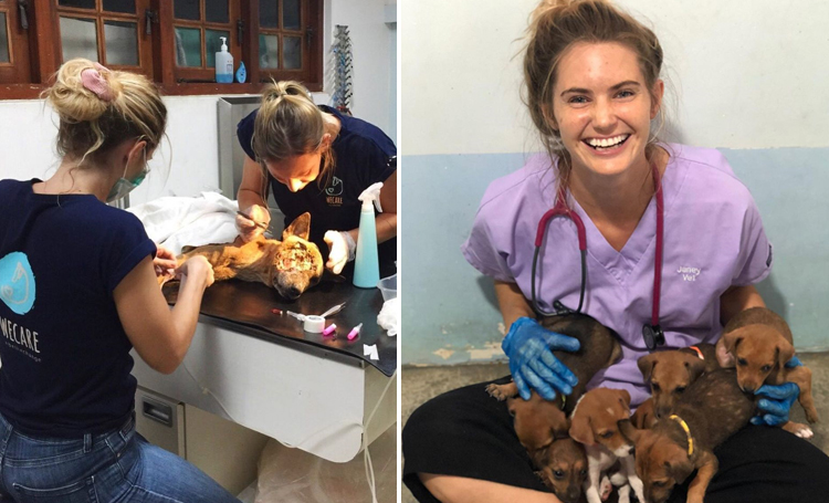 janey lowes hayvansever sri lanka ingiltere wecare worldwide sokak köpeği listelist