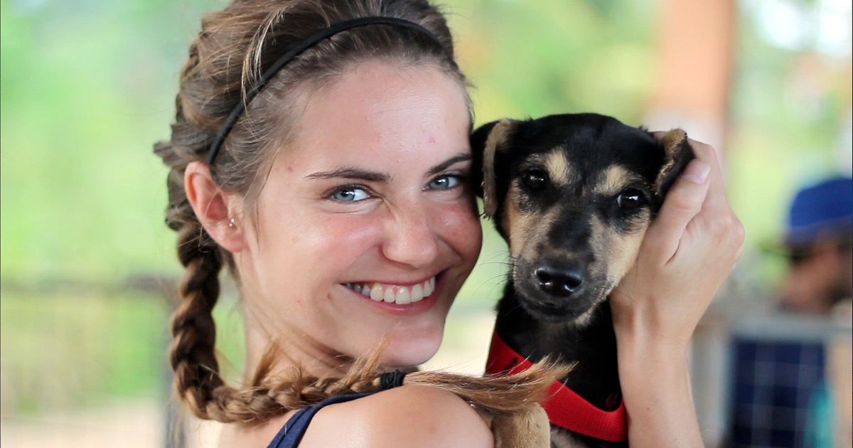 hayvansever sri lanka ingiltere wecare worldwide sokak köpeği listelist bbc belgesel