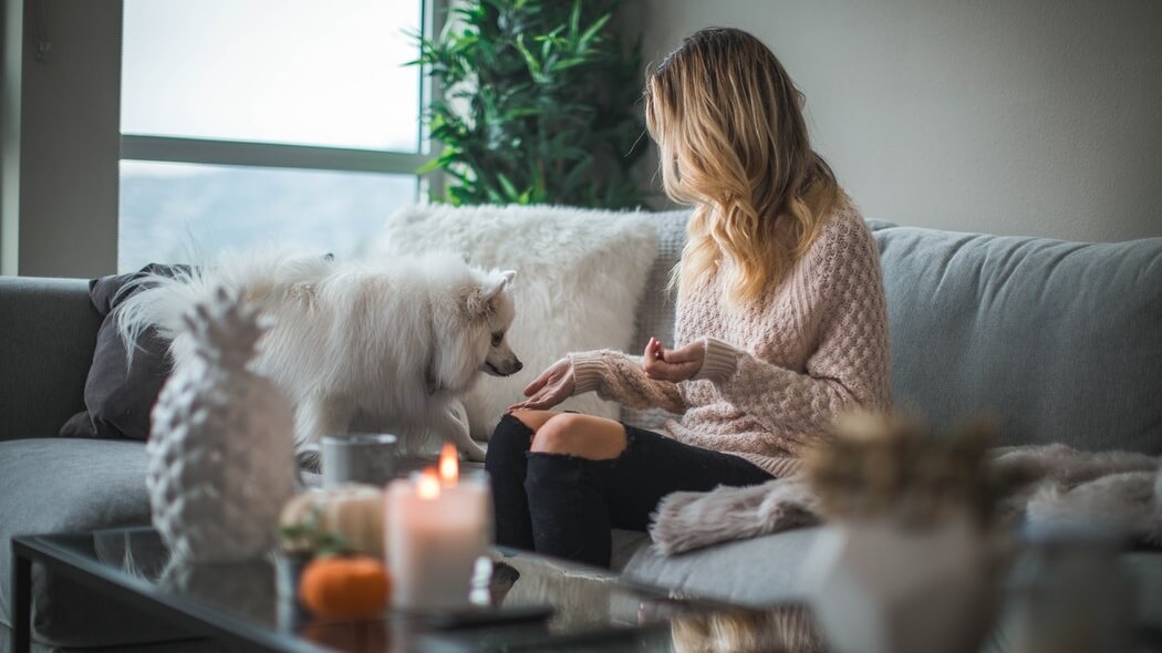 vegan evi