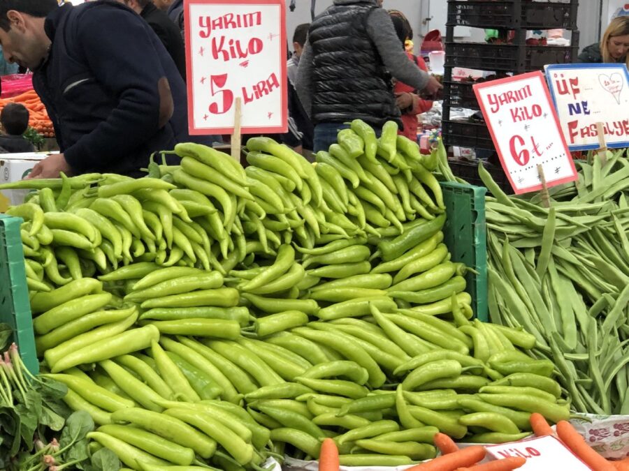 türkiye tarım fiyat ekonomi