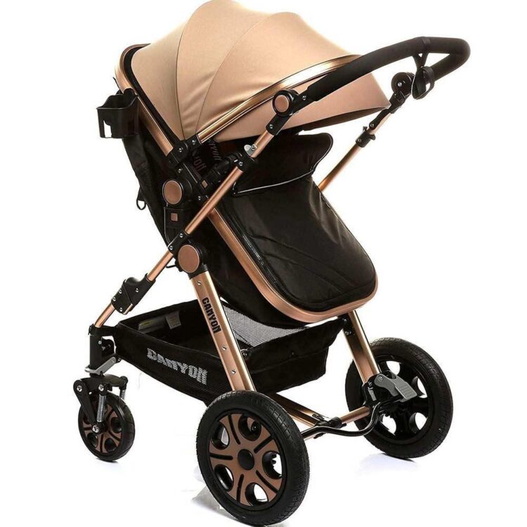 Baby &amp; Plus Canyon Travel Bebek Arabası V2 Kullanıcı