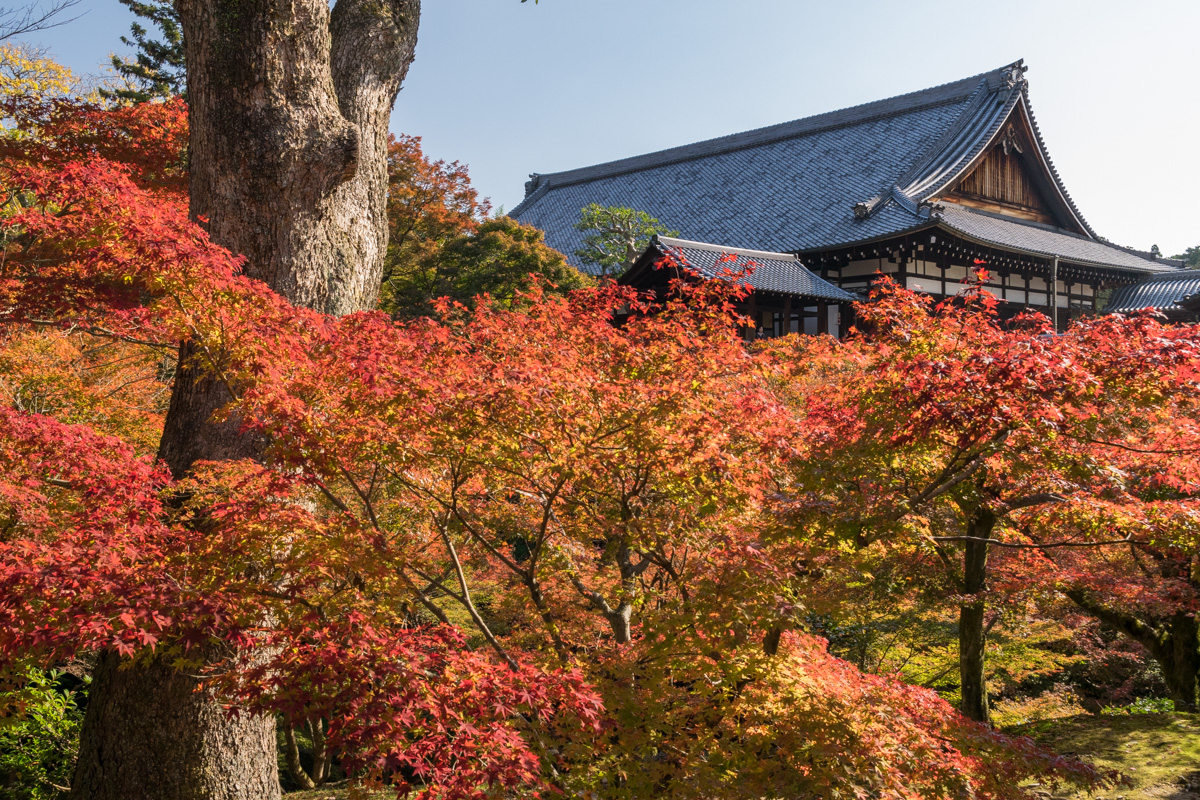 Tofuku-ji