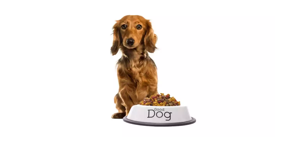 En Iyi Yavru Kopek Mamalari Listelist Com En Iyi Yavru Kopek Mamalari Listelist Com