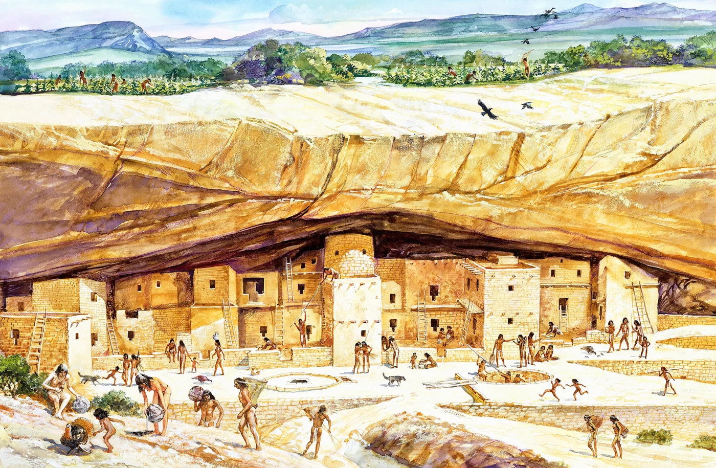 anasazi