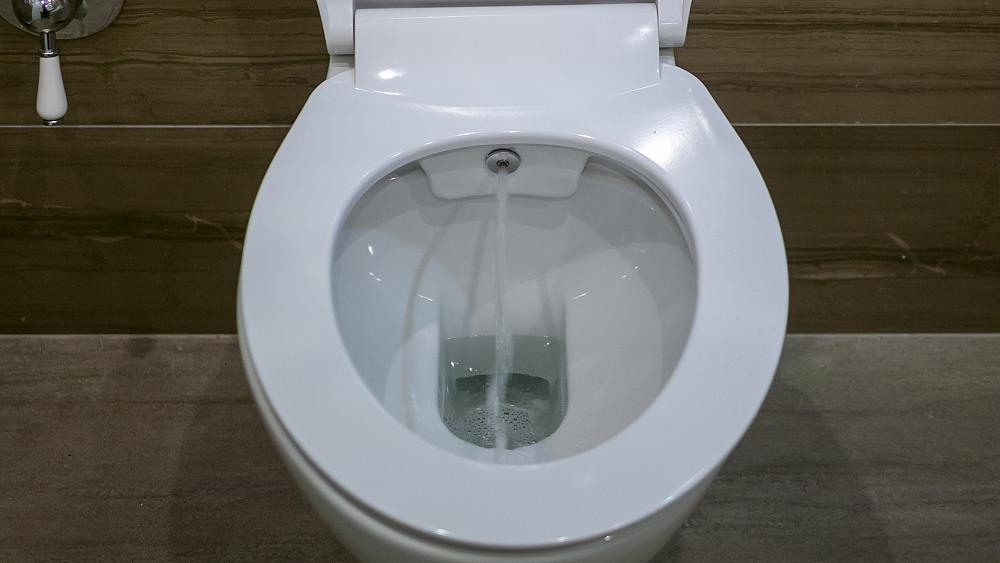tuvalet kağıdı