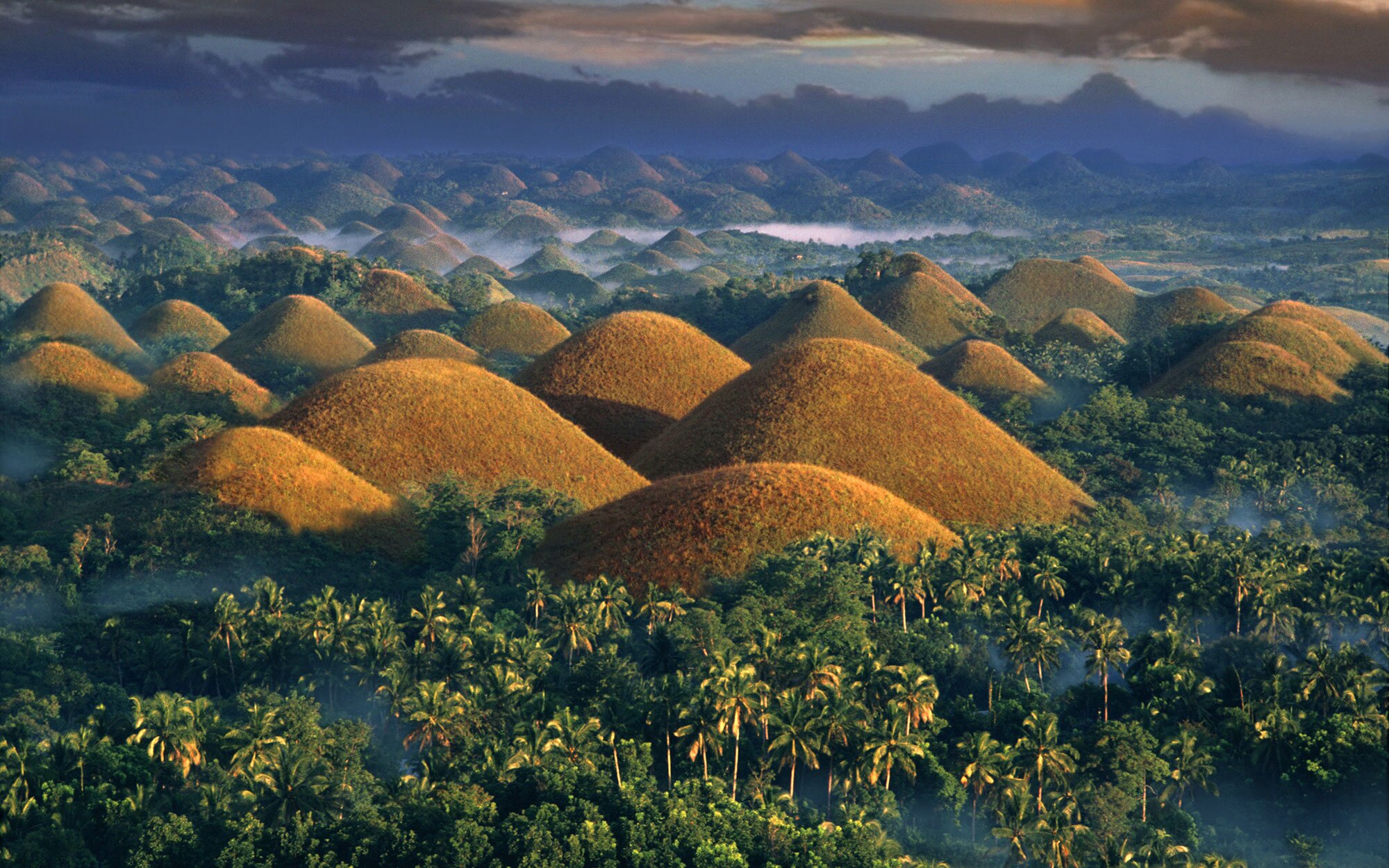 Рис холмы. Шоколадные холмы острова Бохоль. Холмы острова Бохоль Филиппины. Шоколадные холмы Филиппины. Шоколадные холмы достопримечательности Филиппин.